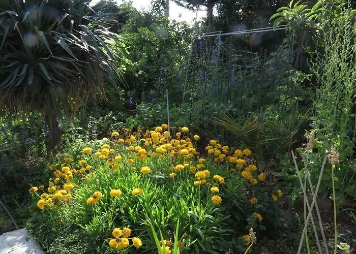 Διαμέρισμα Potocki *