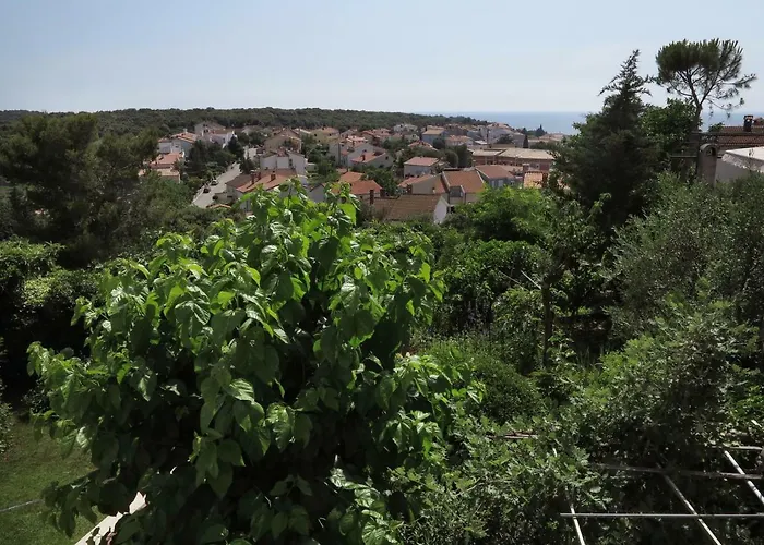 Potocki * Μεντουλίν